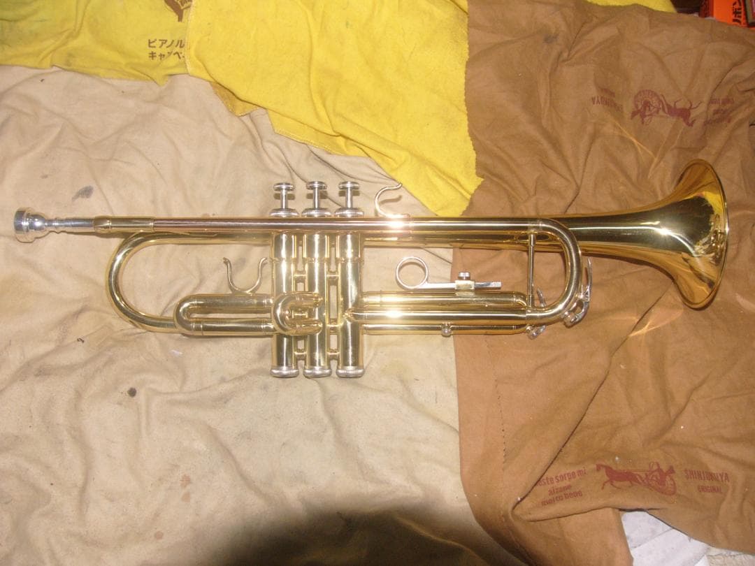 超激安特価！生産終了品 ・ENNBOM バックスタイルモデル Tp（新古品級）