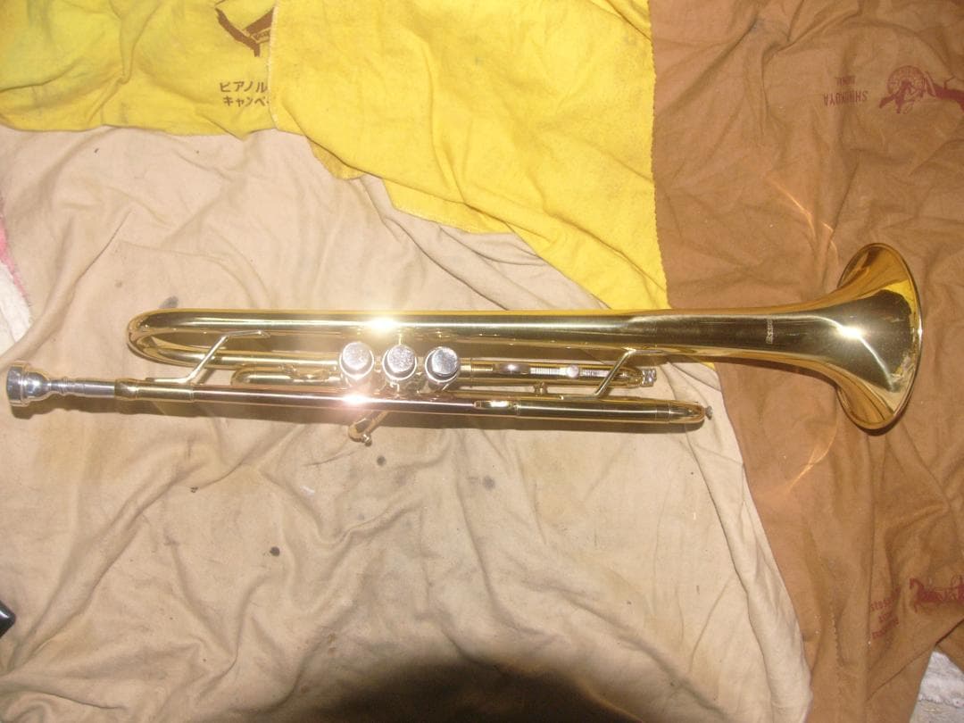 超激安特価！生産終了品 ・ENNBOM バックスタイルモデル Tp（新古品級）