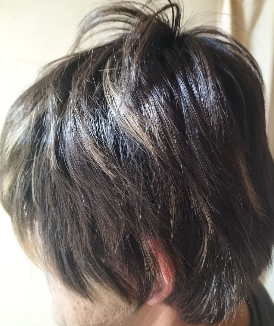 パープルプル　アデランスフォンテーヌR'couleur メッシュショート