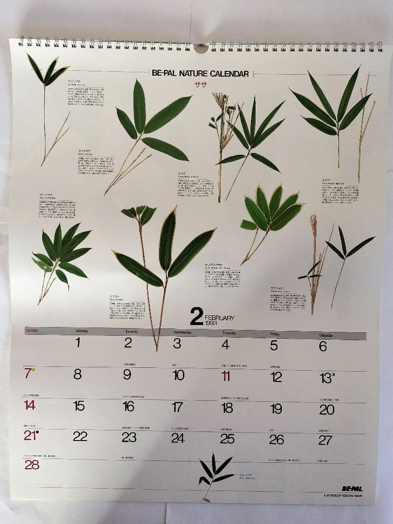 BE-PAL ビーパル カレンダー 新品未使用 1993年 ヴィンテージ