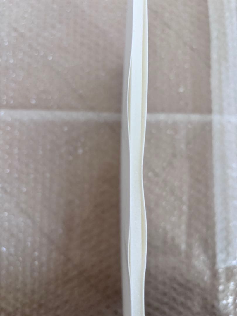 ビバレン　カズ　パネル