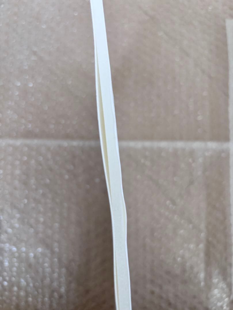 ビバレン　カズ　パネル