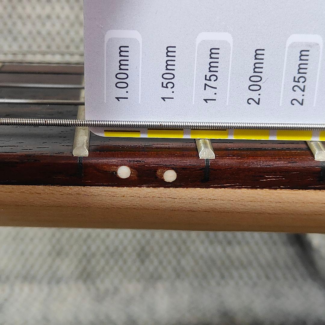 Aria モズライトモデル ギター DM-1 ケース付属 サンバースト