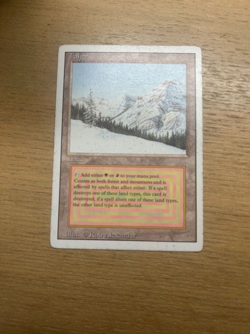 MTG Taiga 3ED 英語