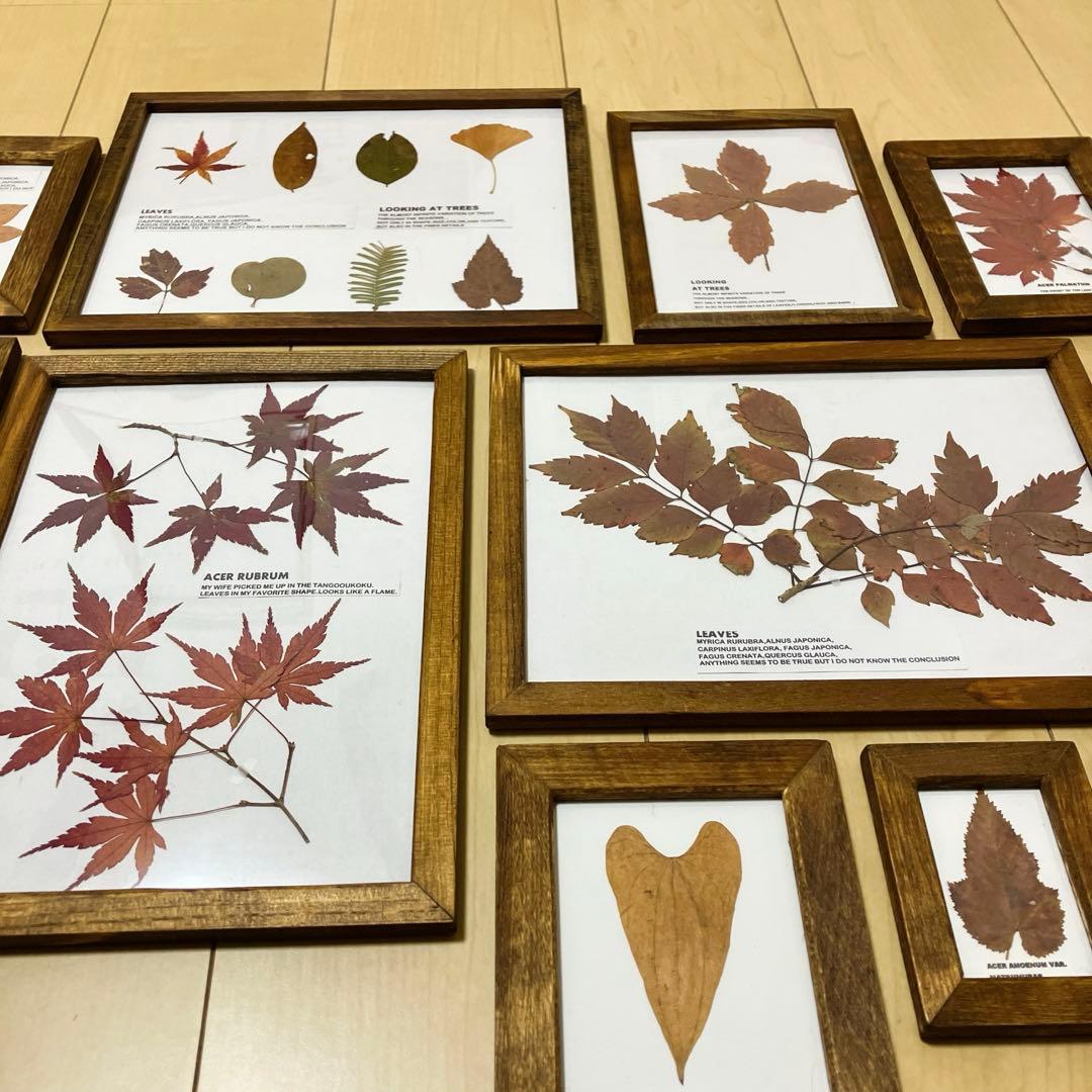 トラックファニチャー TRUCKFUNITURE truckfuniture 風