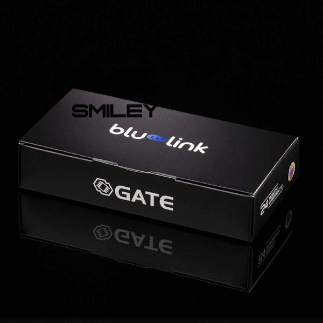 GATE タイタン Blu-Link コントロールステーション