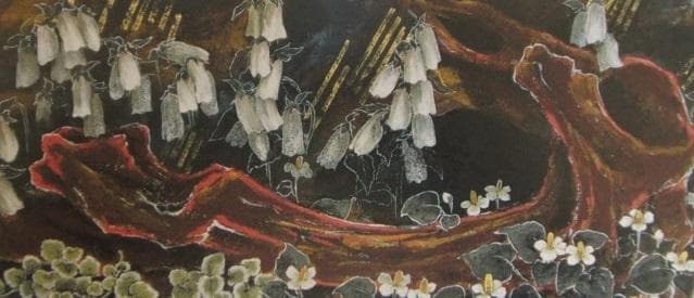 大山鎮、【地の華】、希少な額装用画集より、新品額装付