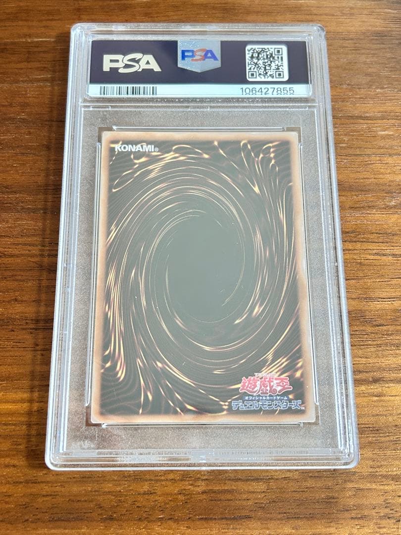 照耀の光霊使いライナPSA10