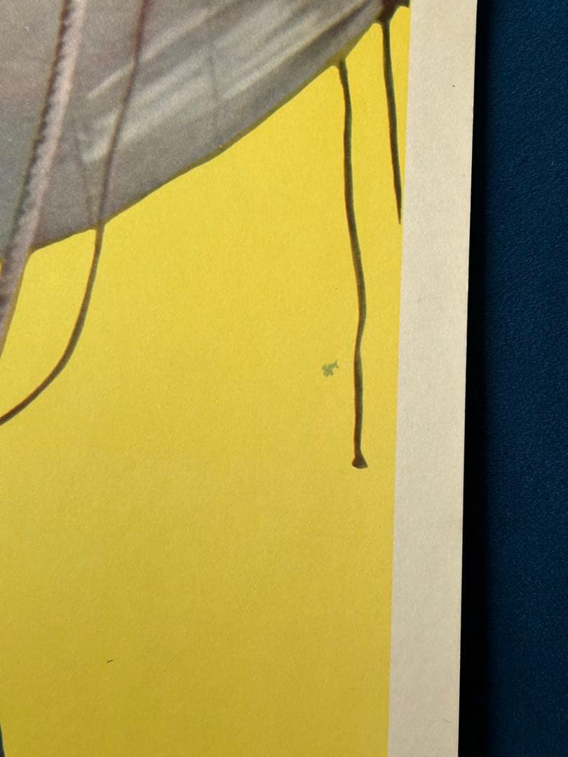 海賊の怒り　USオリジナル映画ポスター