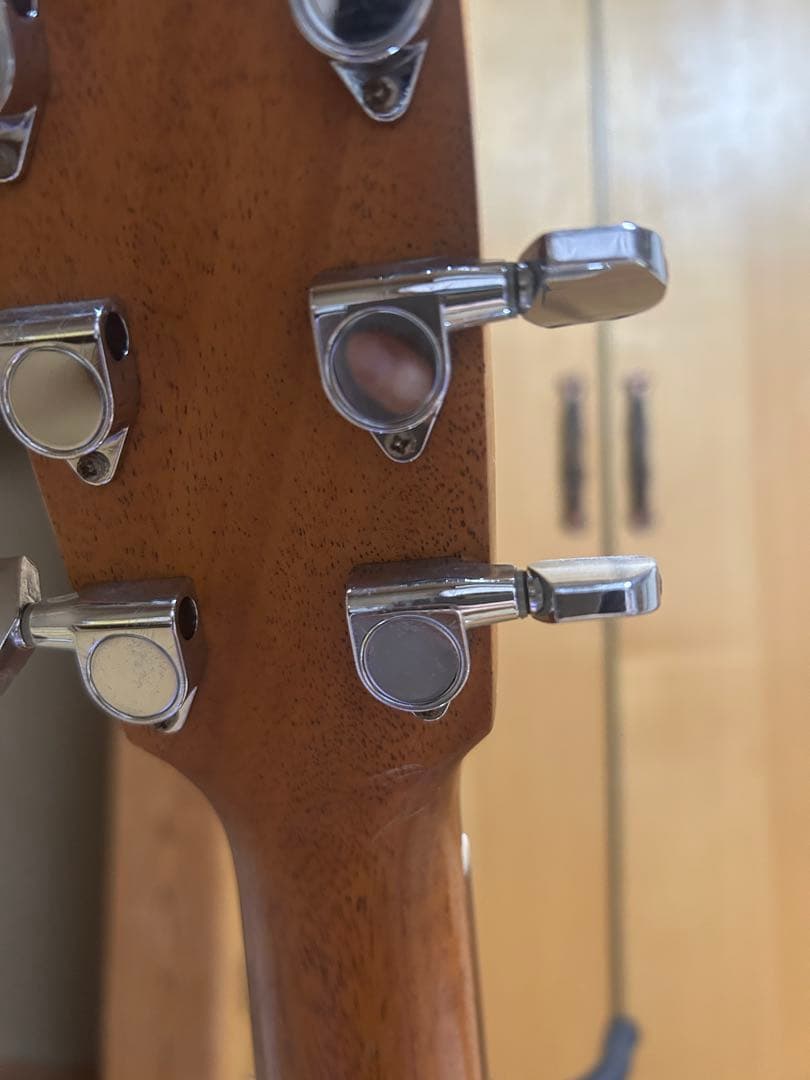 Baden D-Style Mahogany アコースティックギター