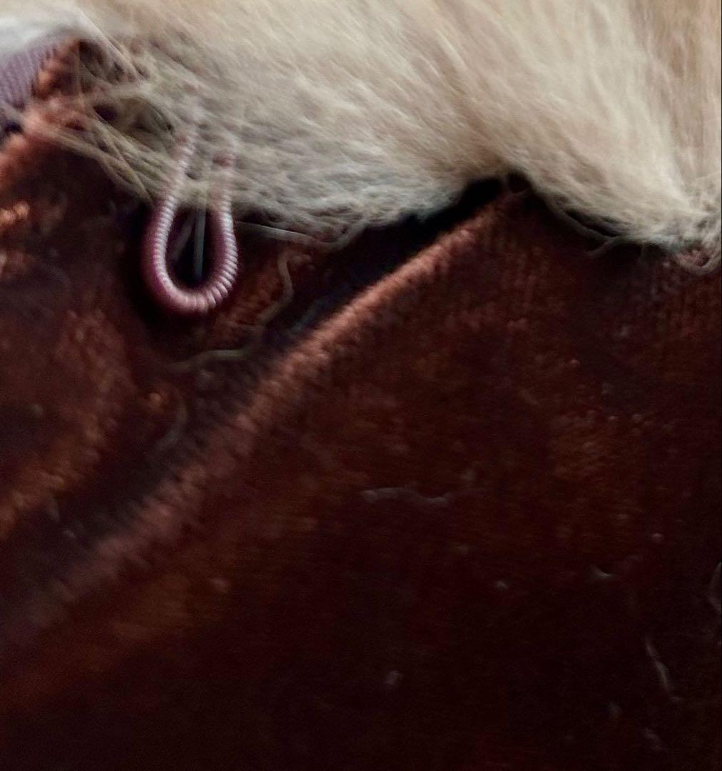 銀座和光 WAKO ロシアンセーブル ティペット 上品 艶感 フォーマル