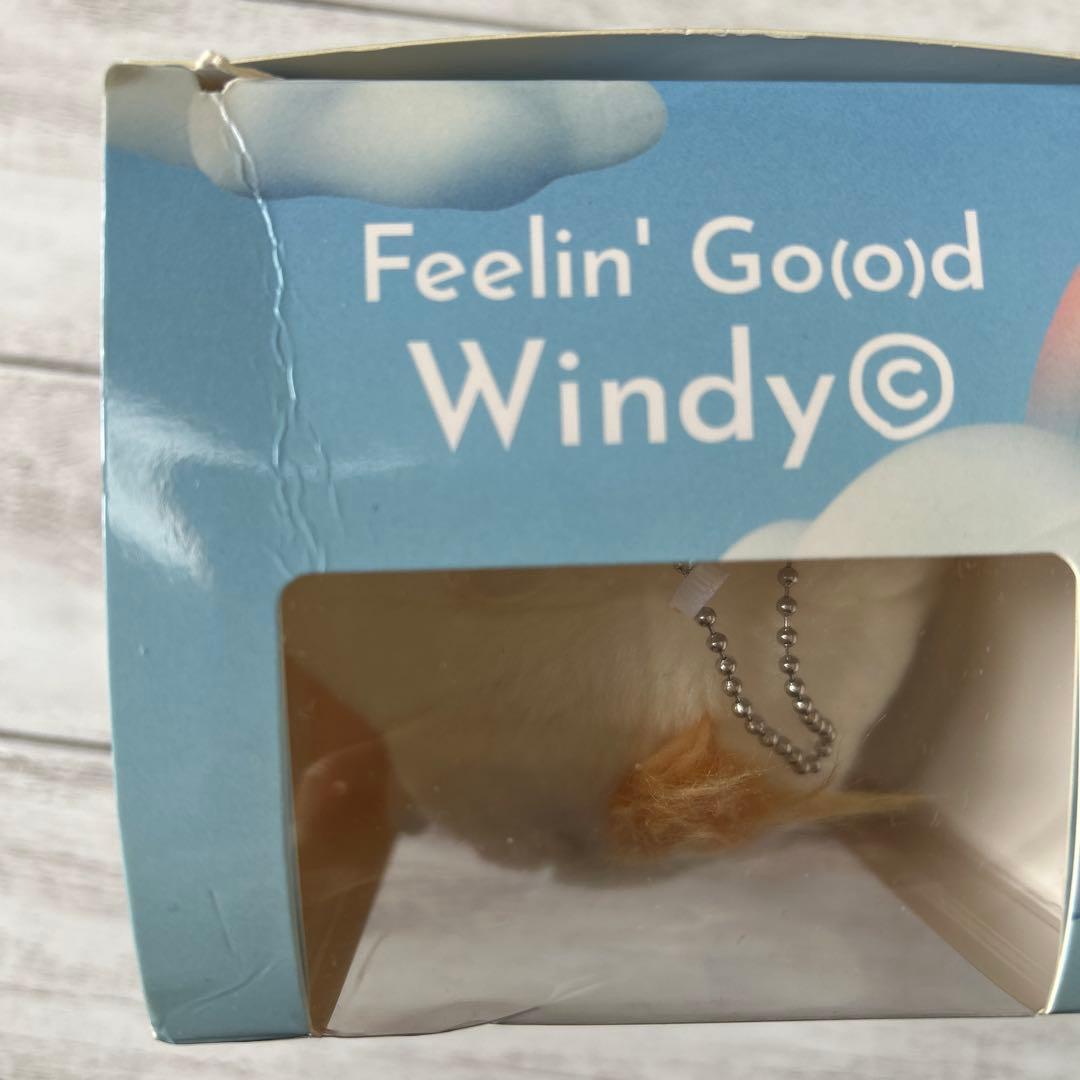 藤井風Feelin' Good Windy ウィンディちゃんとマグネット