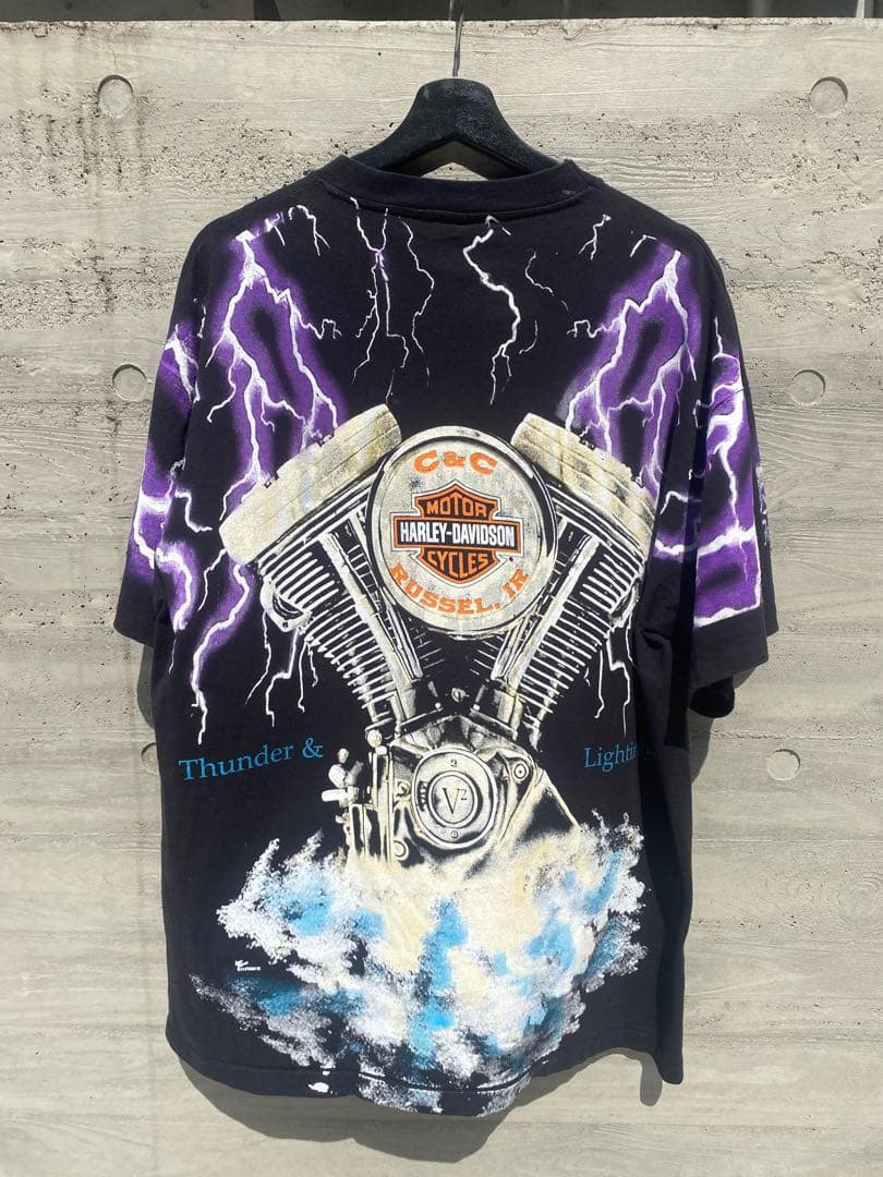 z*s様 正月大特価　Harley-Davidson Thunder&Light