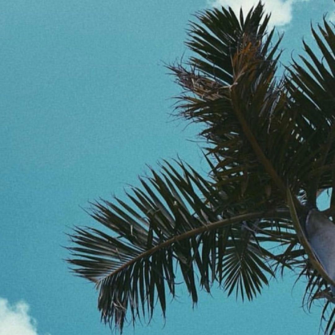 【専用】sugapot様