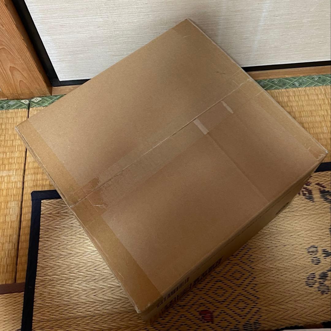 東宝大怪獣シリーズ　ゴジラ 2024 Evolved 少年リック限定版