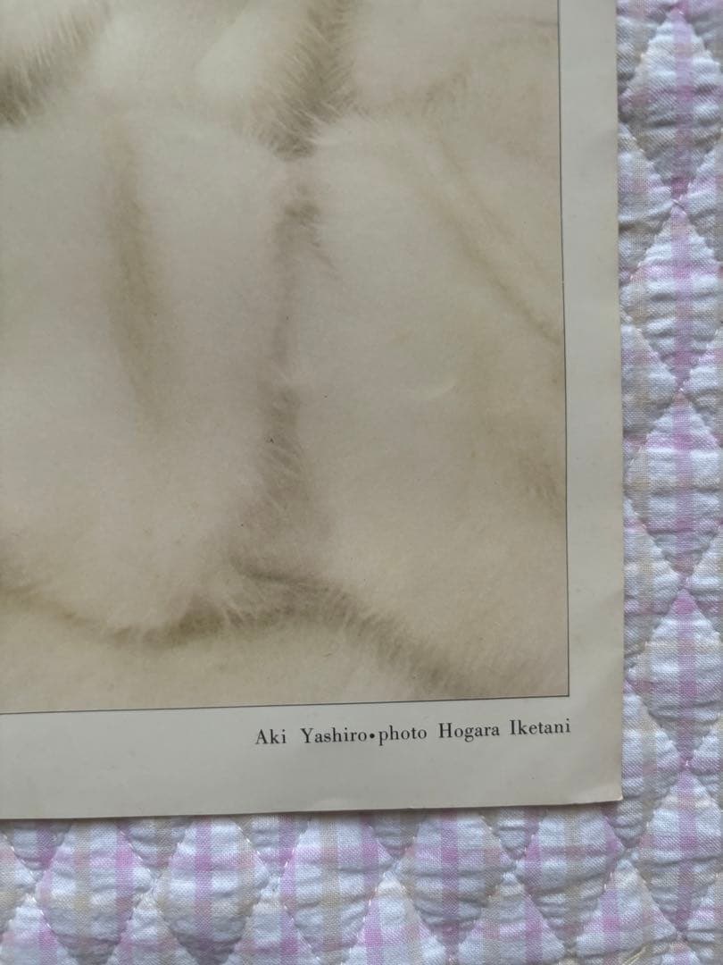 昭和レトロ！当時物！八代亜希　ポスター　池谷朗