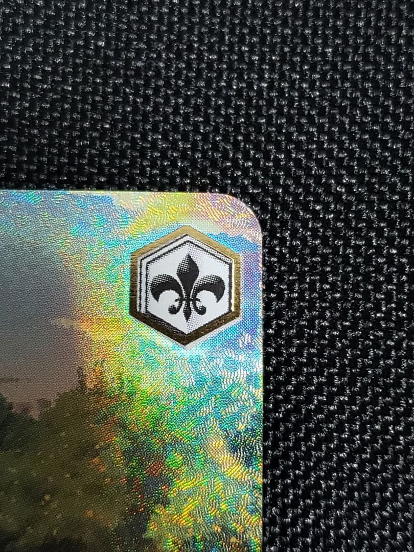 茜さす地でキミと 白上フブキ サイン入り SSP