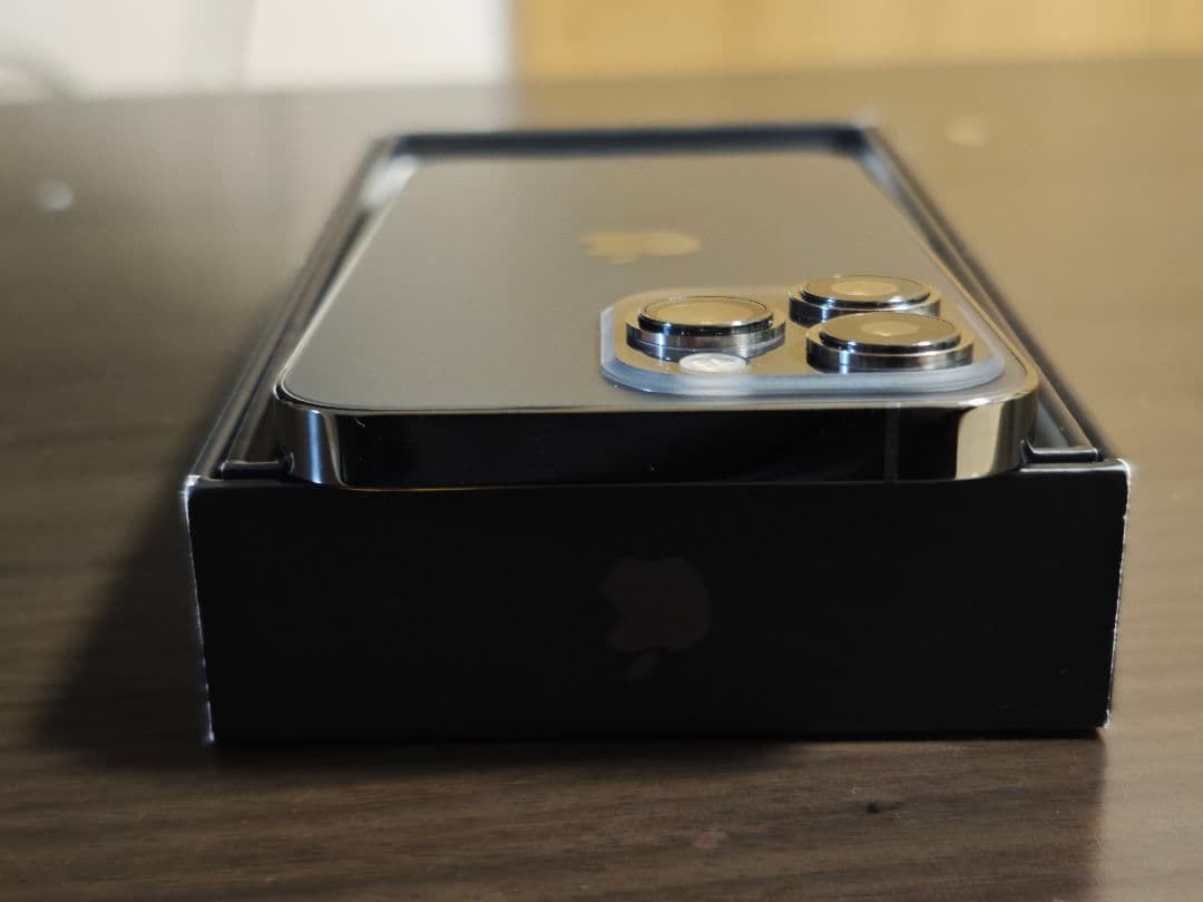 iPhone 13 Pro 256GB ジャンク