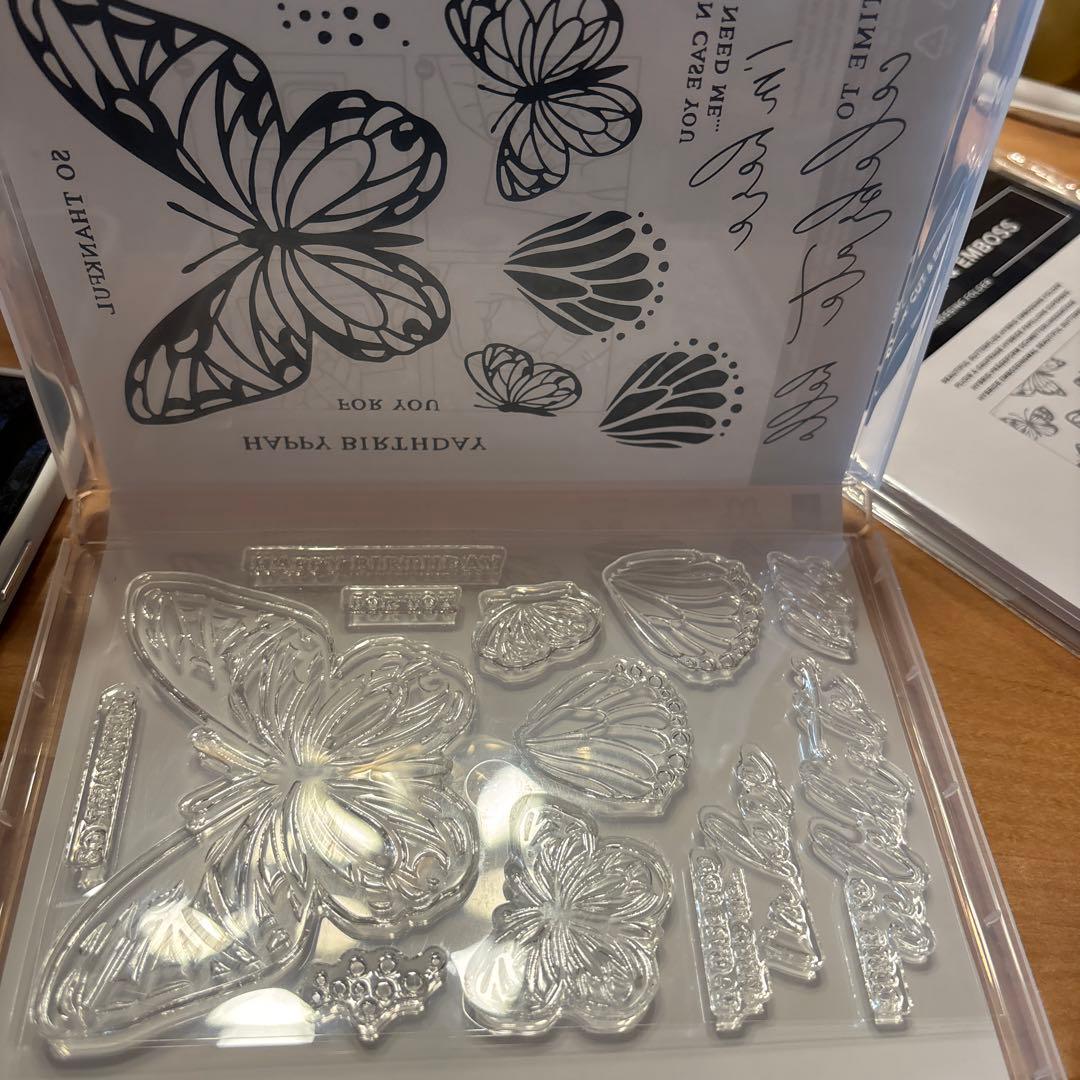 一点限り♡未使用大きな蝶⭐︎Beautiful Butterflies3点セット