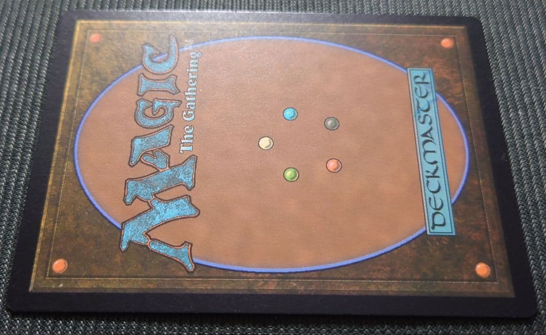 mtg 稀少個体 ボーダーレス FOIL 永劫の好奇心 日本語版 dsk