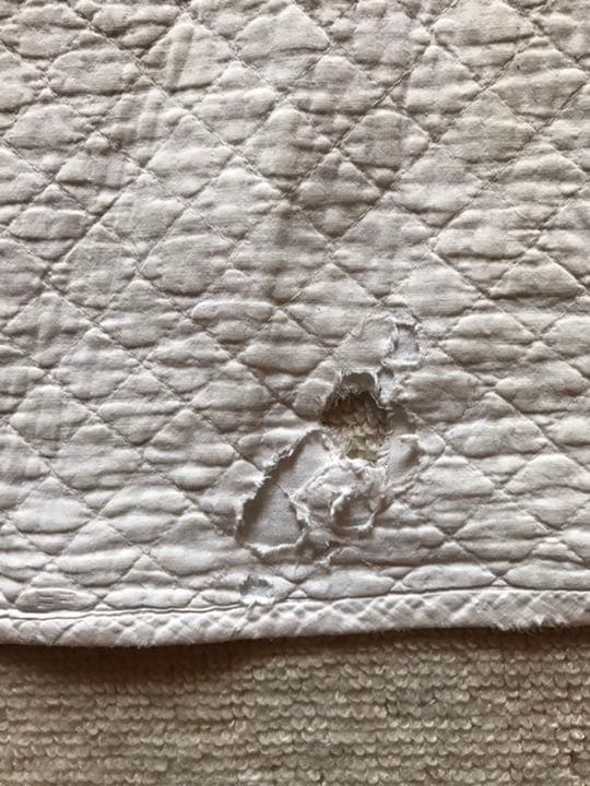 アンとアンディ　刺繍入り　アンティークキルト　値下げしました