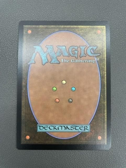 宝石の睡蓮　英語　Foil