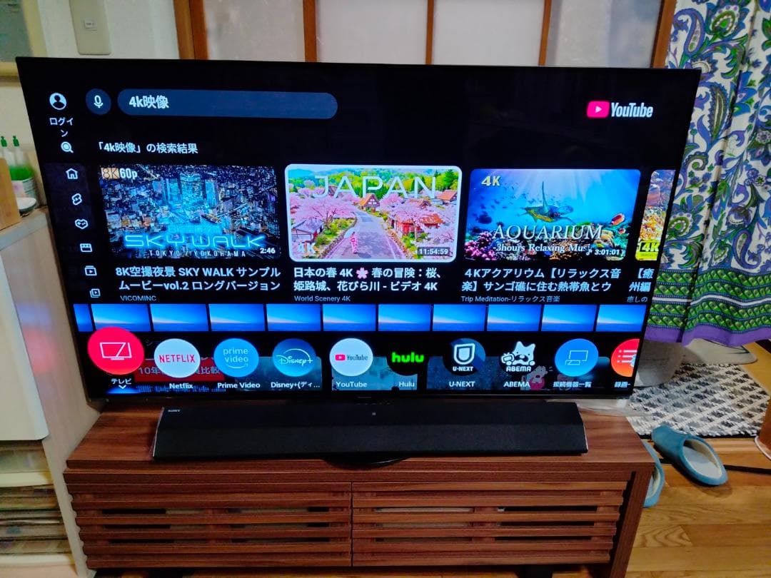 パナソニック ビエラ 有機EL 4K TH-55HZ1000 2020年 保証付