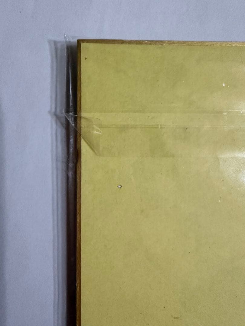 天木じゅん色紙【本人直筆サイン色紙】【イベント抽選当選品】【非売品】在庫1点のみ