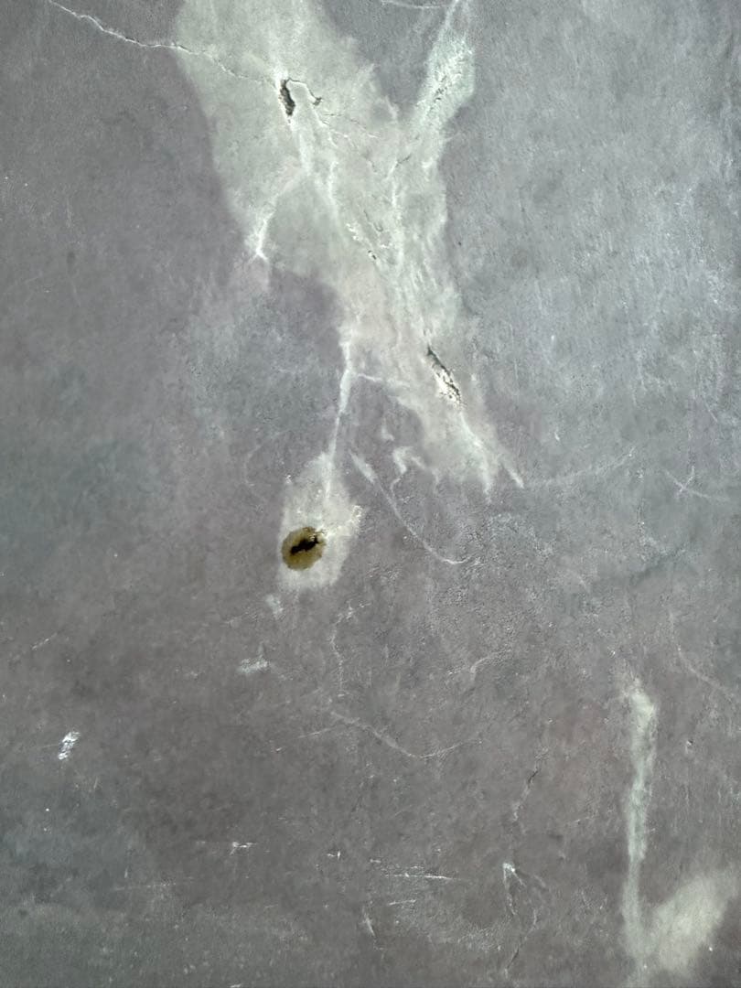 超限定出品18日20時‼️端渓硯大硯　鳥梅陽刻天然眼中國美術唐木台と蓋証明書付①