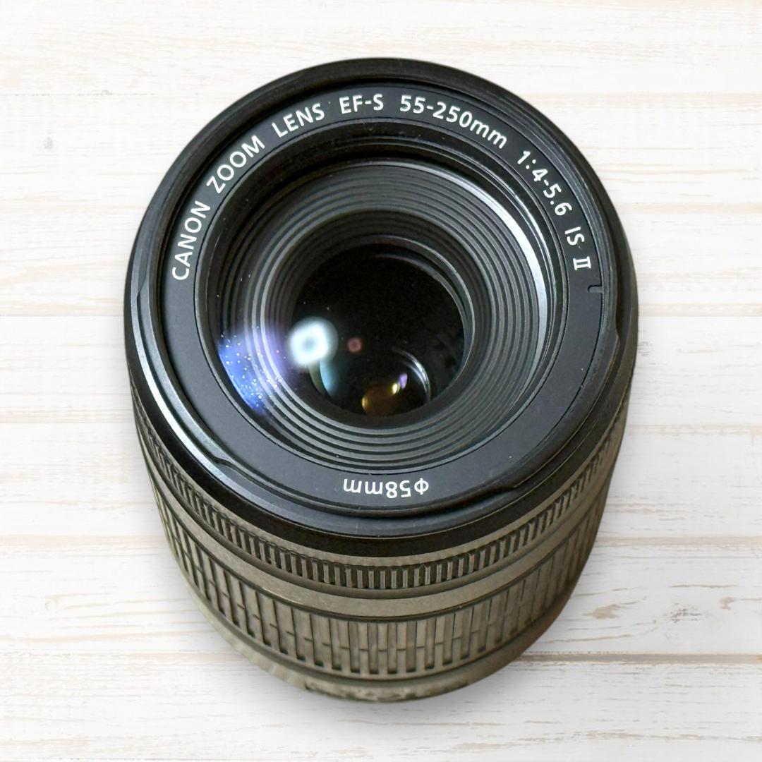 Canon ズームレンズ EF-S 55-250mm IS Ⅱ #143