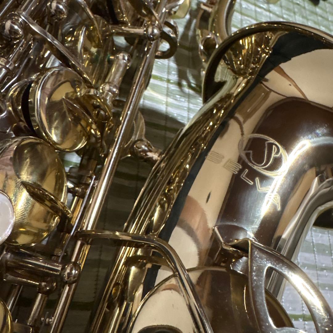 SELVA セルバ アルトサックス SAS-100 ケース付き　管楽器　音楽