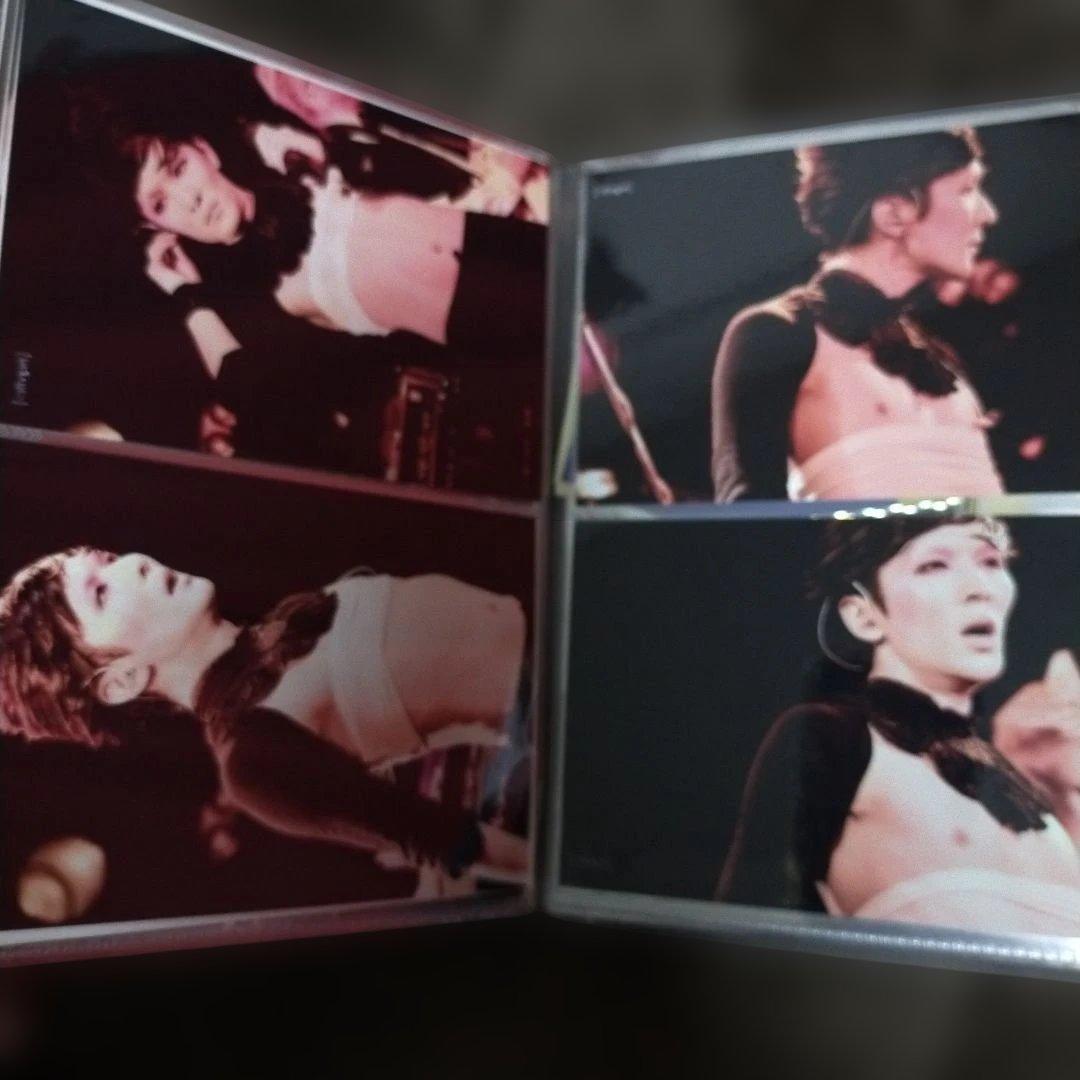 枚数追加♡355枚♡☆cali≠gari (ほぼ石井秀仁) ブロマイド等