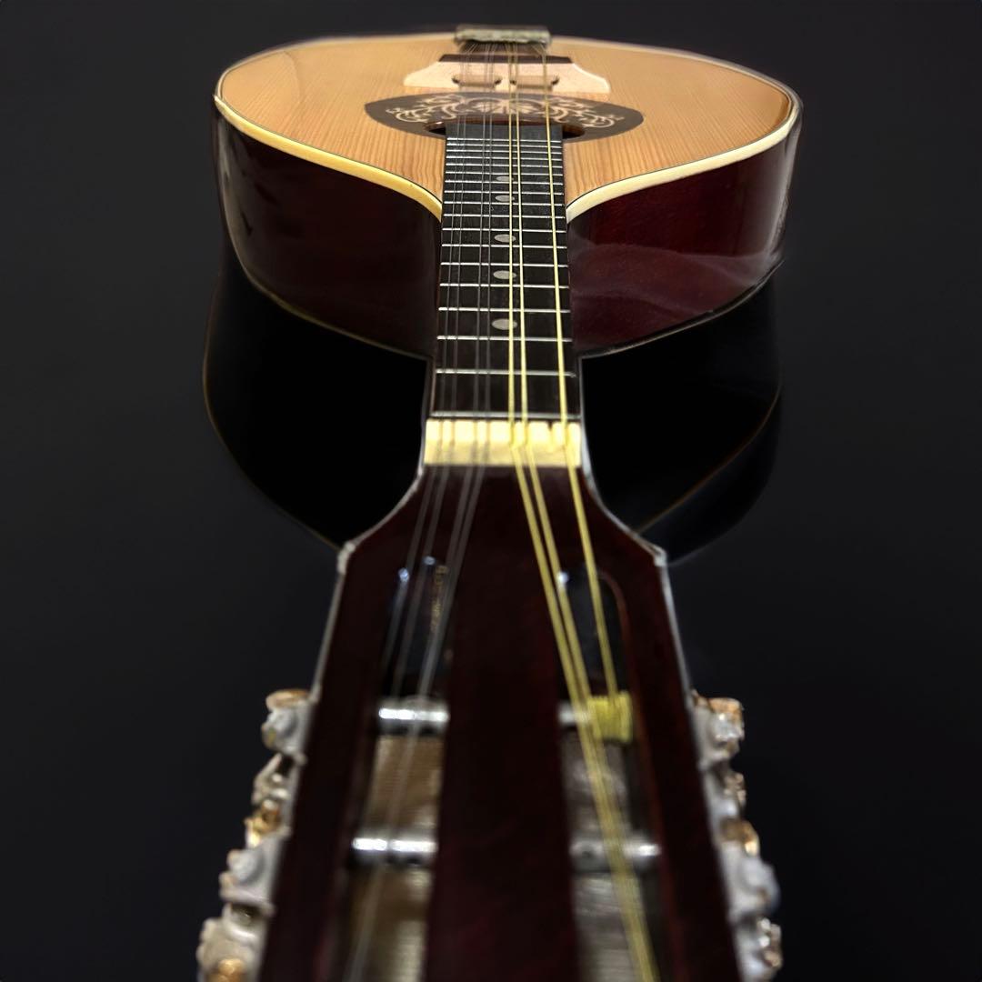 Hora Mandolin Port.1 フラット マンドリン