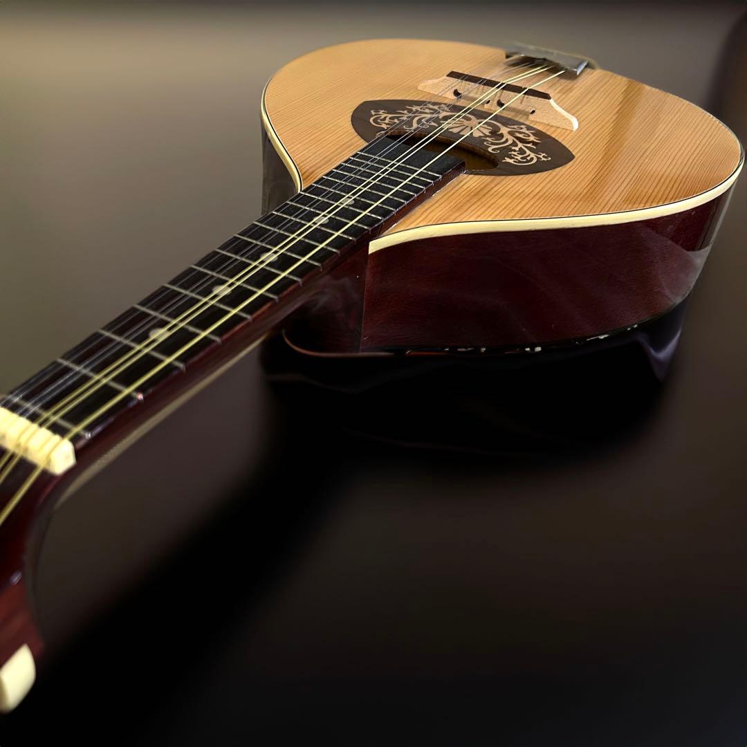 Hora Mandolin Port.1 フラット マンドリン