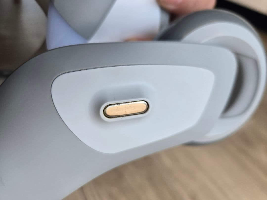 Loona ルーナ ペットロボット 箱あり