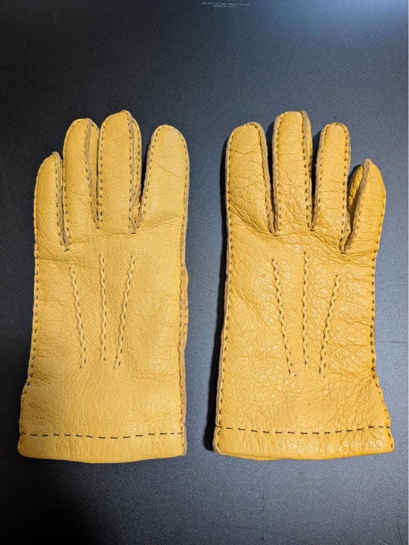 DENTS ペッカリーグローブ（カシミヤライニング）