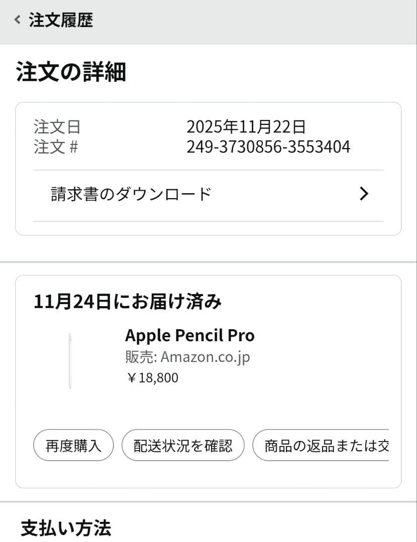 iPadアクセサリー ApplePencil Pro