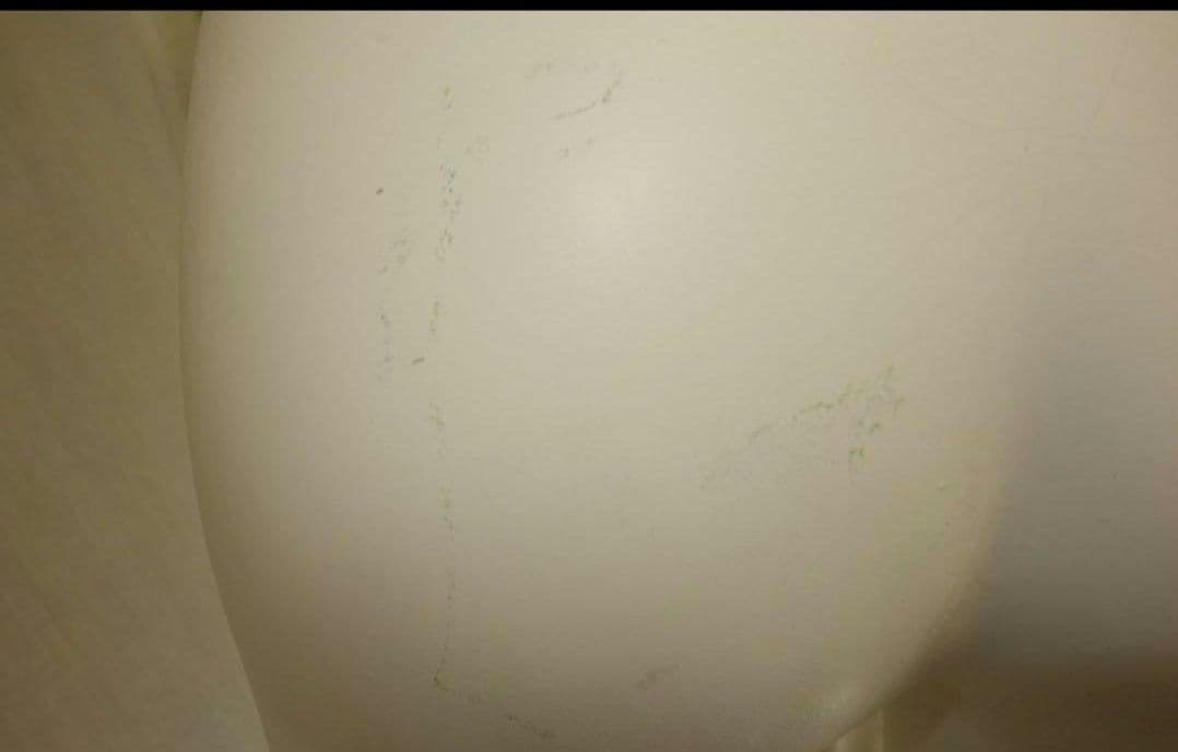 （2体セット）レディースマネキン リアルマネキン トルソー 服飾 ２体セット