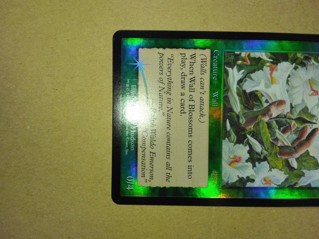 花の壁 Wall of Blossoms FNM プロモ Foil