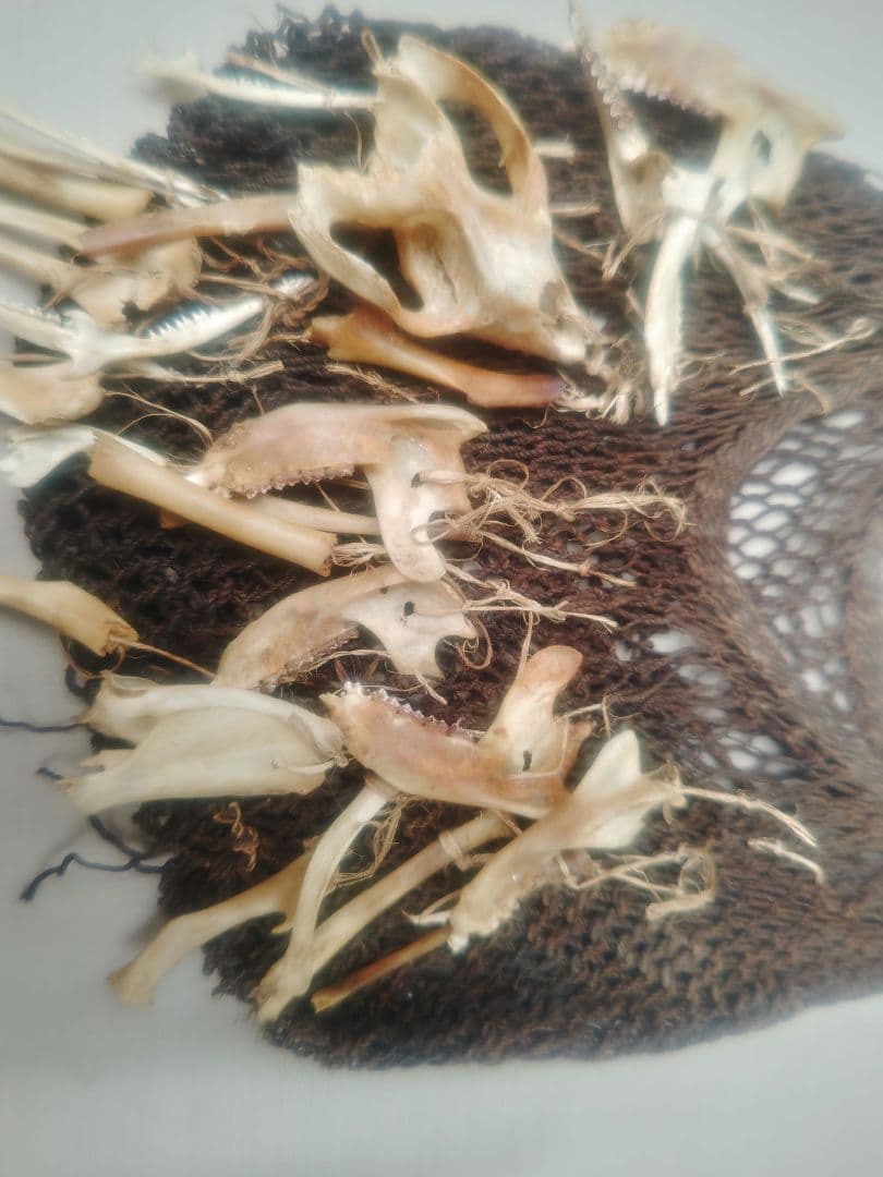 値下げしました★ 骨装飾　編バッグ　民族　骨格標本 プリミティブ　アンティーク