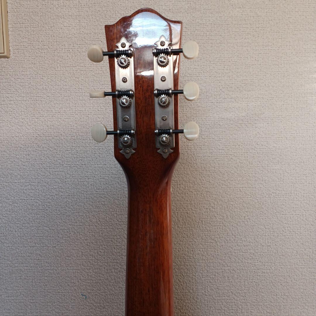 Farida アコースティックギター グラデーション