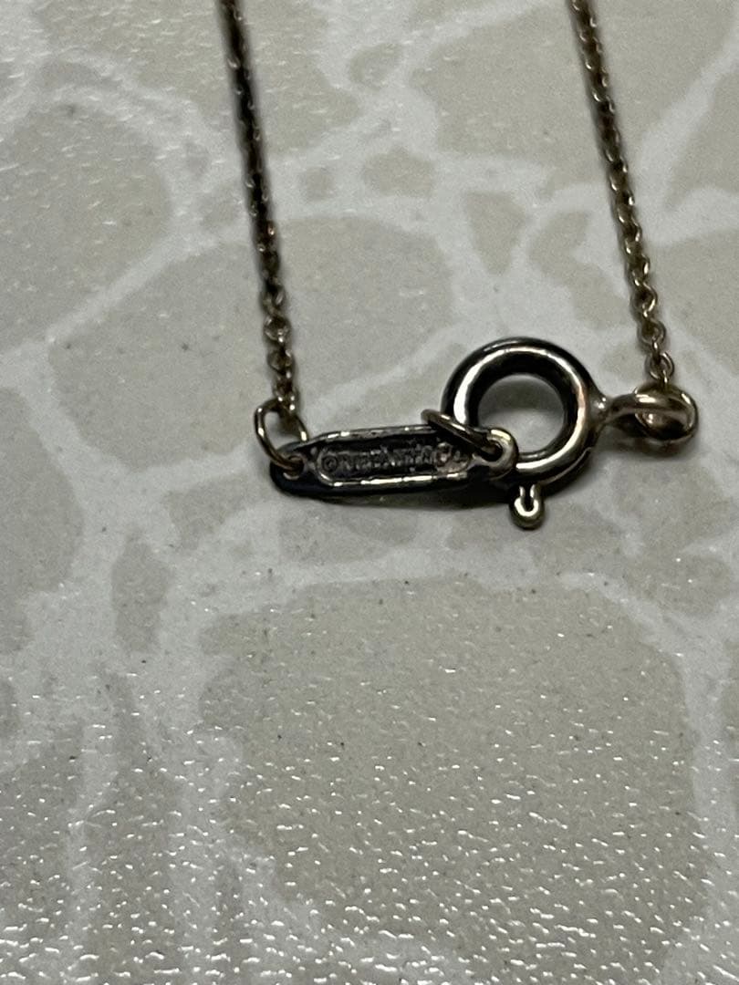 ②Tiffany & Co. 925 サークルペンダントチェーン付き 箱あり