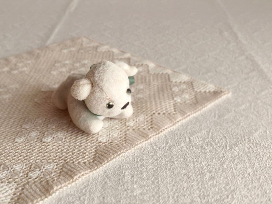 【チョコメルさま】vintage cat ୨୧ ベイビーフェイス 猫ちゃん