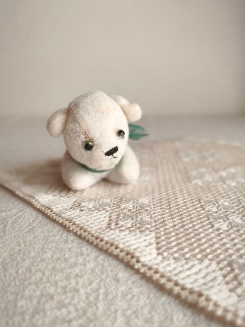 【チョコメルさま】vintage cat ୨୧ ベイビーフェイス 猫ちゃん