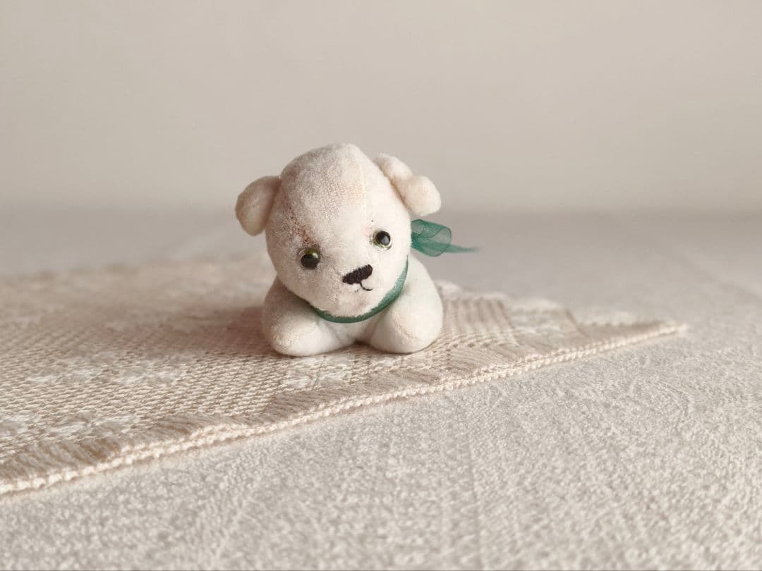 【チョコメルさま】vintage cat ୨୧ ベイビーフェイス 猫ちゃん