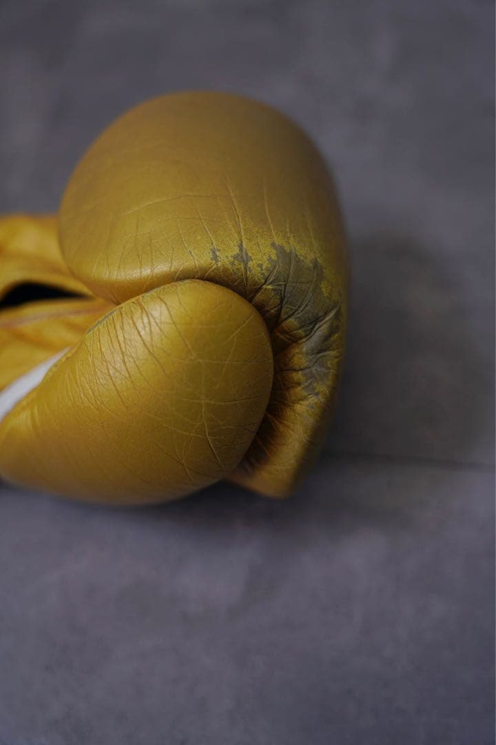 レア！！井上尚弥、武尊使用のゴールドwinning 8オンス　ゴールデングローブ