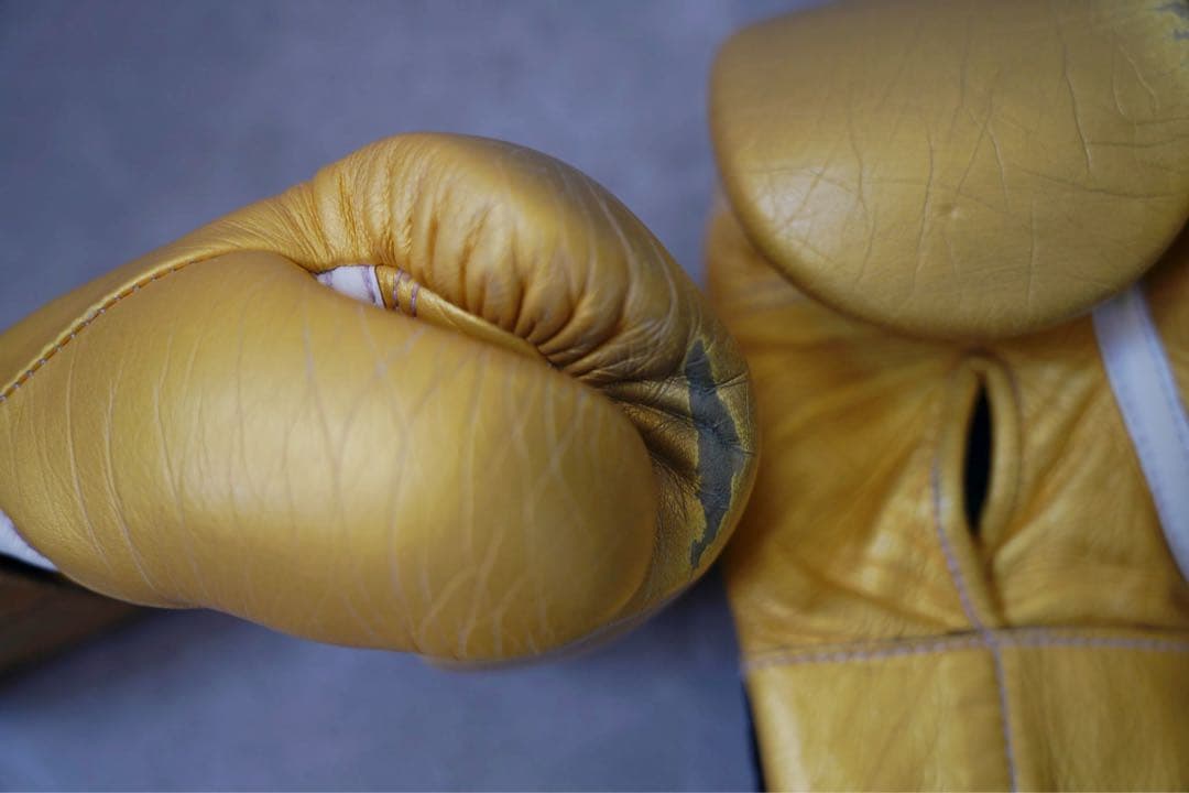 レア！！井上尚弥、武尊使用のゴールドwinning 8オンス　ゴールデングローブ