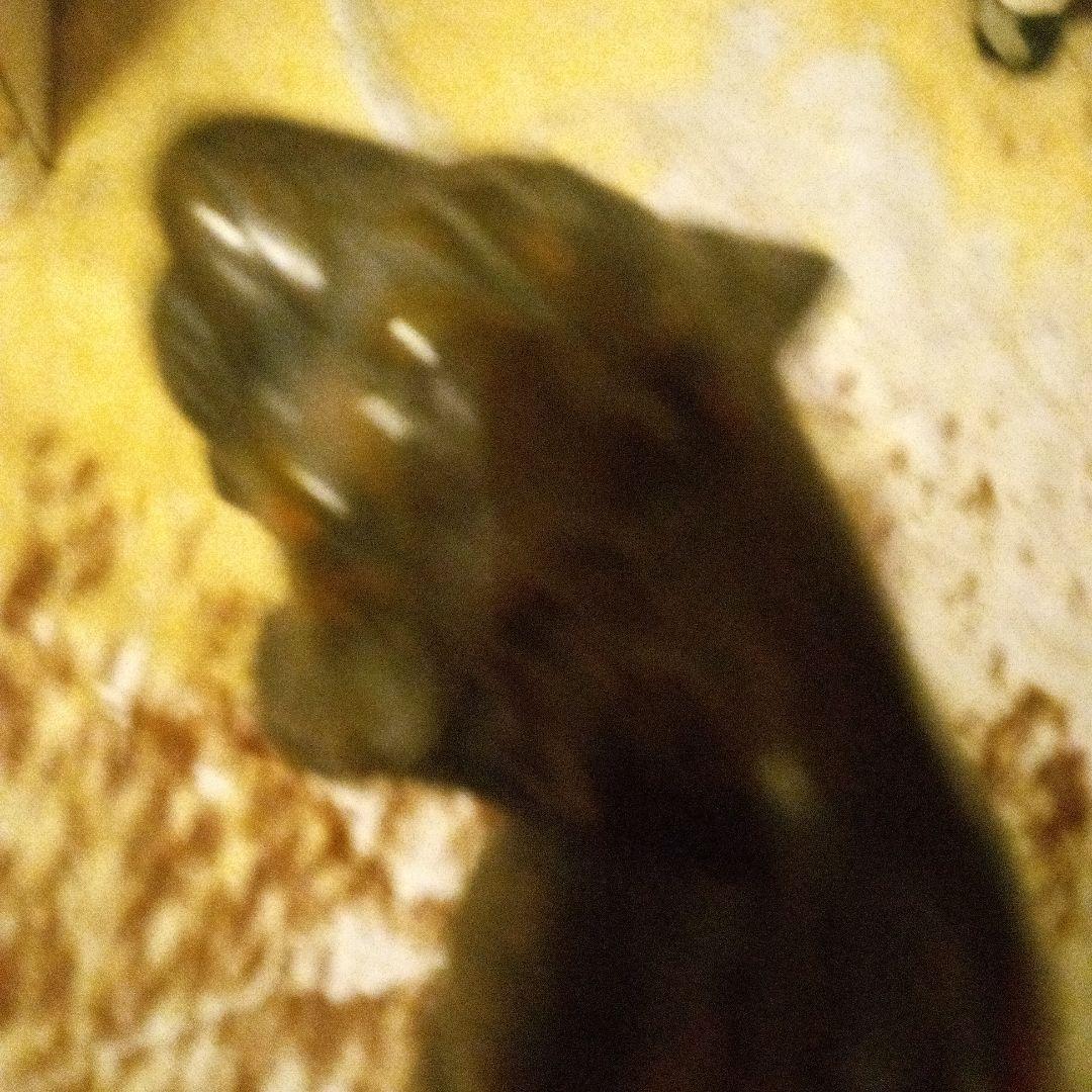 鉄ブロンズライオンの彫刻 約55cm