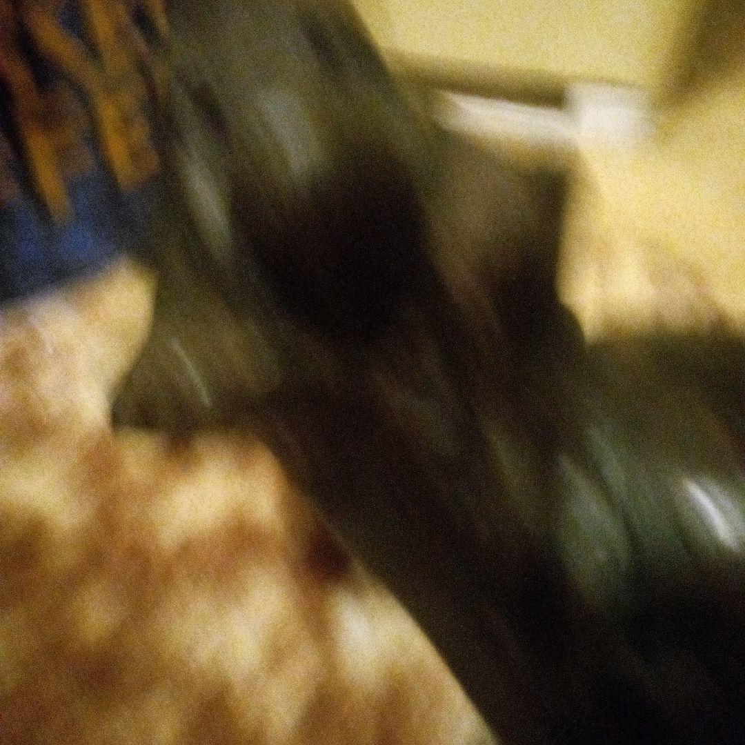 鉄ブロンズライオンの彫刻 約55cm