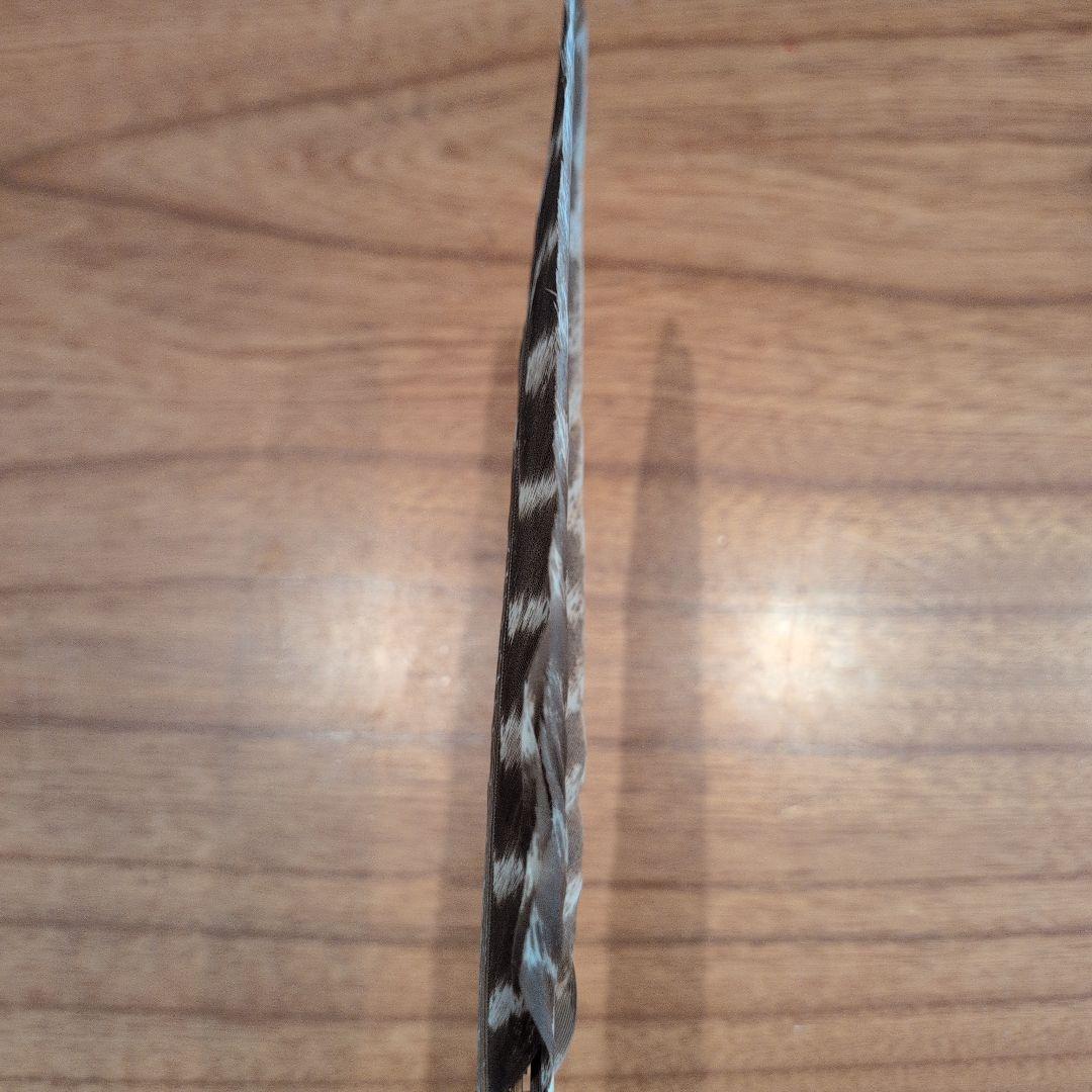 羽箒2点　(1点は未使用 箒博作)